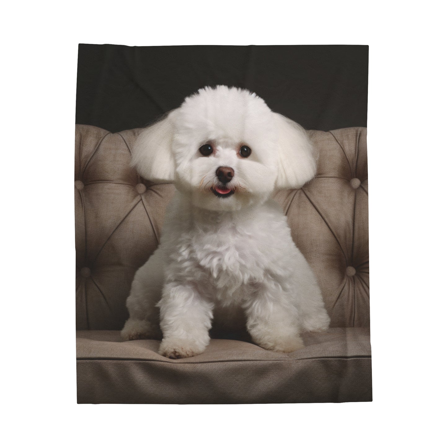 Bichon Bliss - Cushioned Charm Velveteen Plush Blanket